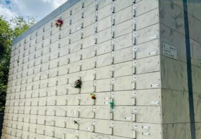 Sustentabilidade avança e transforma setor funerário