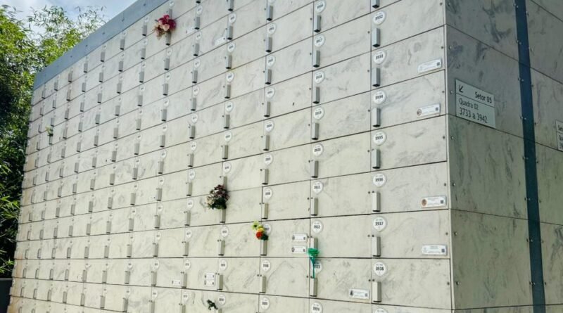 Sustentabilidade avança e transforma setor funerário