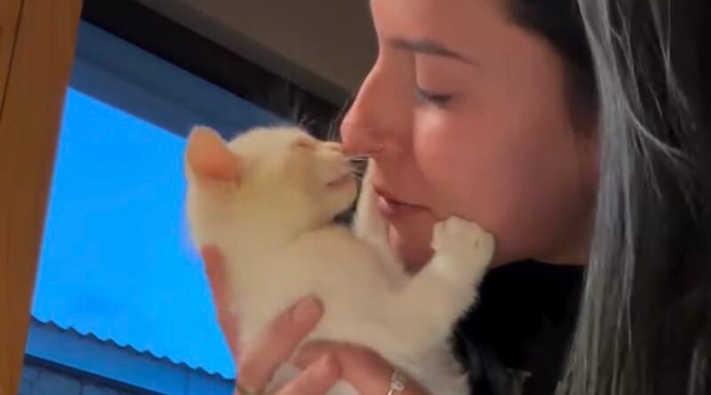 Ana Castela diverte fãs após crise alérgica causada por gato: “Dá pra beijar mais um gatinho”