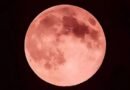 Lua de Morango ilumina o céu nesta segunda-feira (29); saiba o horário, onde observar e por que o fenômeno é tão especial
