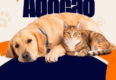 Catu realiza feira de adoção de cães castrados neste sábado (22)