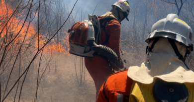 Bombeiros atuam no combate a incêndio na Serra da Bandeira, em Barreiras