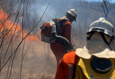 Bombeiros atuam no combate a incêndio na Serra da Bandeira, em Barreiras