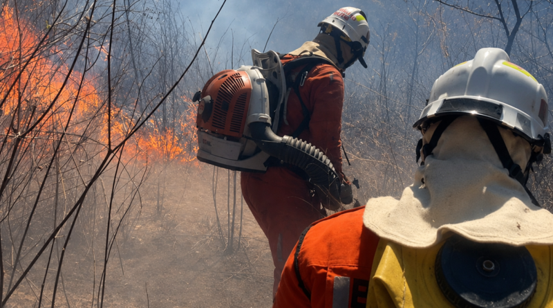 Bombeiros atuam no combate a incêndio na Serra da Bandeira, em Barreiras
