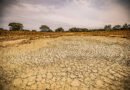 El Niño pode provocar 451 mil mortes adicionais por calor; Brasil pode registrar 13,3 mil