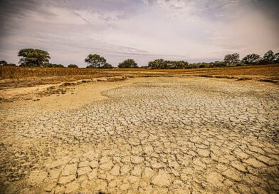 El Niño pode provocar 451 mil mortes adicionais por calor; Brasil pode registrar 13,3 mil